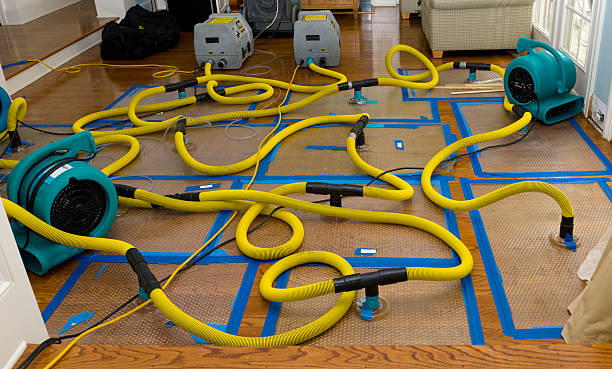 Professional Burst Pipe Water Damage technician working in Esmond, IL